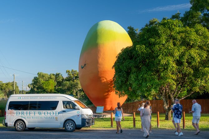 Careers the big mango