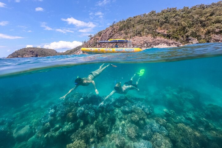 Careers whitehaven beach, snorkelling & hill inlet lookout